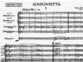 Návštěva koncertu – Janáčkova Sinfonietta